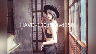 HAVD-190.(1havd190)