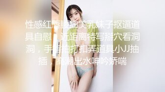   高端泄密极品美女上海何麦伢与男友啪啪流出