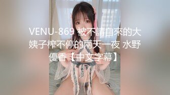 _调教极品小女友，连体网袜，胸前滴蜡扇嘴巴，假屌玩嫩穴，妹妹很配合，翘起屁股求主人操，后入