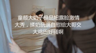 (申精)大奶小母狗被操超清晰版