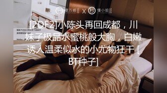 XKGA032 星空无限传媒 办公室药奸严厉女上司 柔伊 VIP0600