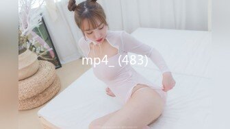 mp4_ (483)