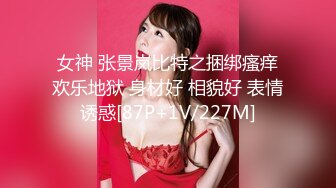 3日间限定のクリスマスシンデレラ 圣夜の夜に现れる可爱くて长身の巨乳ケーキ贩売员AV解禁 甘惟桃