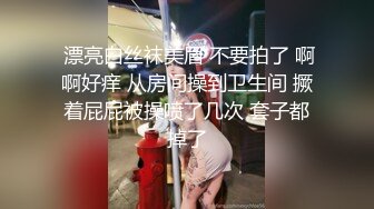 网调小贝叼内裤