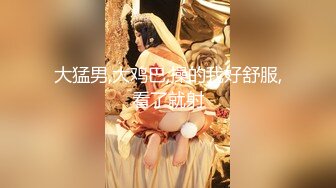 麻豆传媒&amp;Pussy Hunter PS008 最美女神 绫波麗【水印】