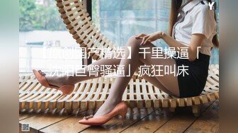 Stripchat主播【林夕 Aafairy】抖奶 热舞 自慰视频福利 最全 合集【100v】 (5)