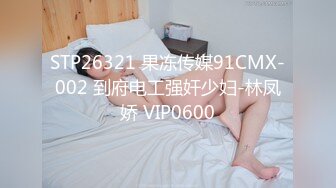 游乐场女厕全景偷拍长裙美少妇的无毛大肥鲍