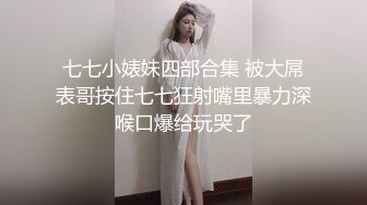 骑乘位小马达,口交加后入，性爱技巧真好