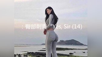 高端大圈外围妹子 花臂纹身白裙小姐姐 坐在身上摸奶舌吻调情