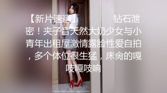 女友的妈妈2