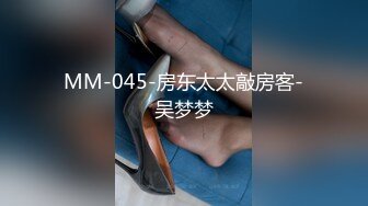 MM-045-房东太太敲房客-吴梦梦