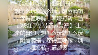 91xuxuanrui作品高铁长发苗条美女乘务员激情做爱 黑丝情趣内衣大战叫的特别浪3V完整版 (2)