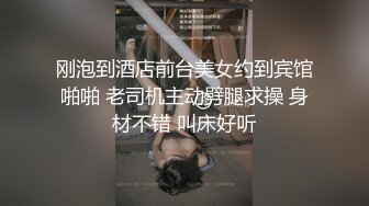 理论片