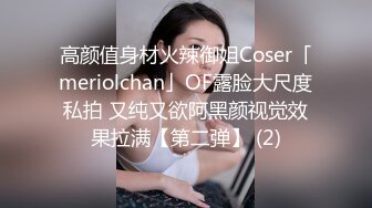 高颜值身材火辣御姐Coser「meriolchan」OF露脸大尺度私拍 又纯又欲阿黑颜视觉效果拉满【第二弹】 (2)