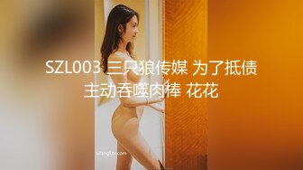 TWTP 游乐场女厕全景偷拍几个撅着屁股嘘嘘的高颜值美女4-2