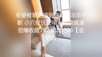 十一月新流出 私房大神极品收藏 商场女厕全景后拍系列 黑衣小美女放个屁拉稀 (2)