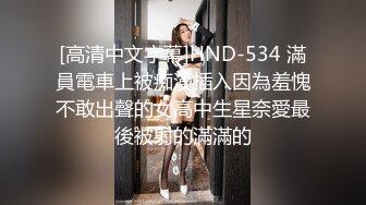 奇淫旅社MDHT-0021禁欲穷游后的显身勾引