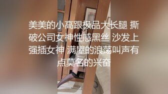 爽到狗叫的骚母狗