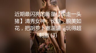 近期最闪亮的新星【偷走一头猪】清秀女神，长腿，貌美如花，把胡萝卜塞逼逼，玩得超刺激 (3)