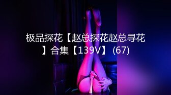 极品探花【赵总探花赵总寻花】合集【139V】 (67)