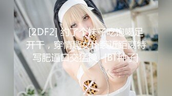 翘臀女神顶级视图福利包-VVLOL-1米7大高个顶级美腿白虎女250P+65V