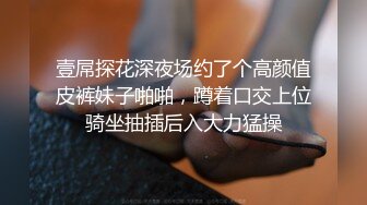 【老婆姨姐闺蜜换着探花】卖淫小分队，今晚风骚老婆上场，黑森林骚穴极其诱人，水声阵阵，浪叫连连，偷腥男女激情一炮